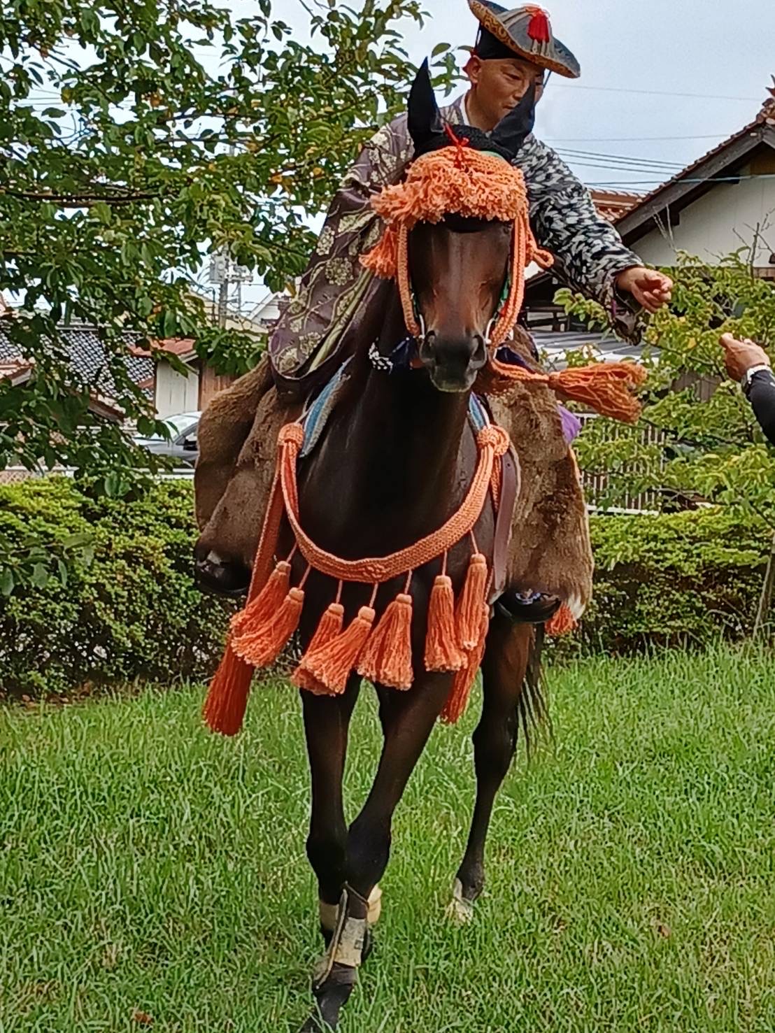 アスールアラテラ